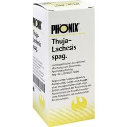 Weiße Schachtel mit der Aufschrift "PHÖNIX Thuja-Lachesis spag.", ein homöopathisches Arzneimittel.